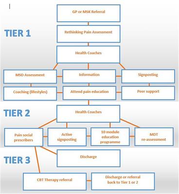 Perspectives on community-based system change for people living with persistent pain: insights from developing the “Rethinking Pain service”